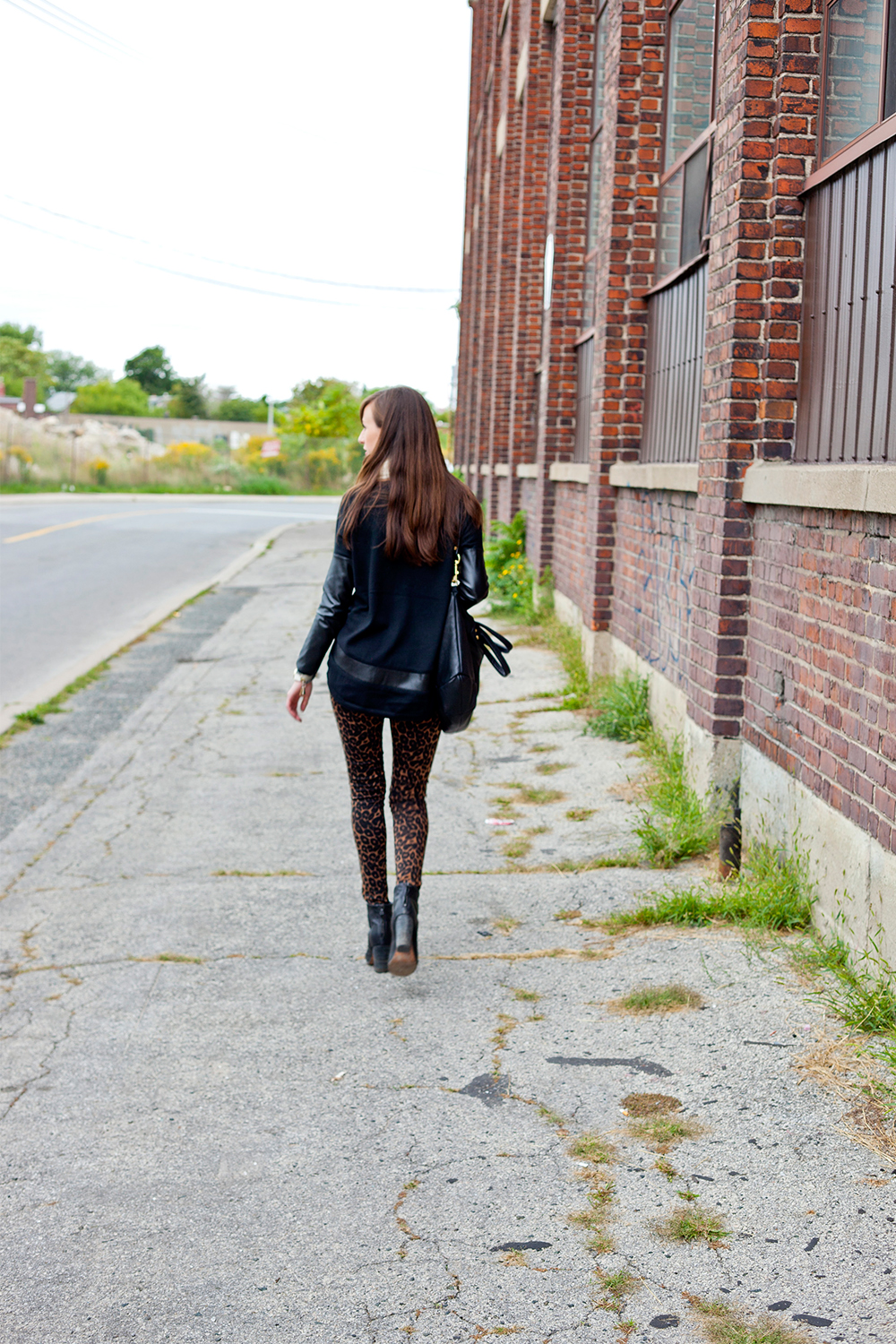 Style Bee in black and leopard print.